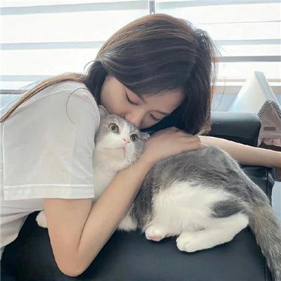 佛兰德斯的狗